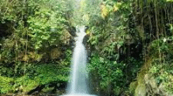 Empat Destinasi Alam Banyuwangi yang Wajib Dikunjungi Akhir Tahun