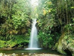 Empat Destinasi Alam Banyuwangi yang Wajib Dikunjungi Akhir Tahun