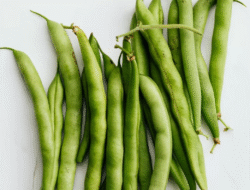 Lima Keunggulan Buncis untuk Kesehatan Tubuh