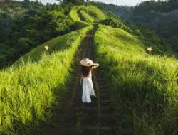 Traveling Sambil Healing: Tempat Wisata Tenang untuk Melepas Penat