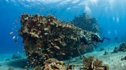 Rekomendasi Spot Diving Untuk Melihat Bangkai Kapal Perang Di Perairan Tulamben